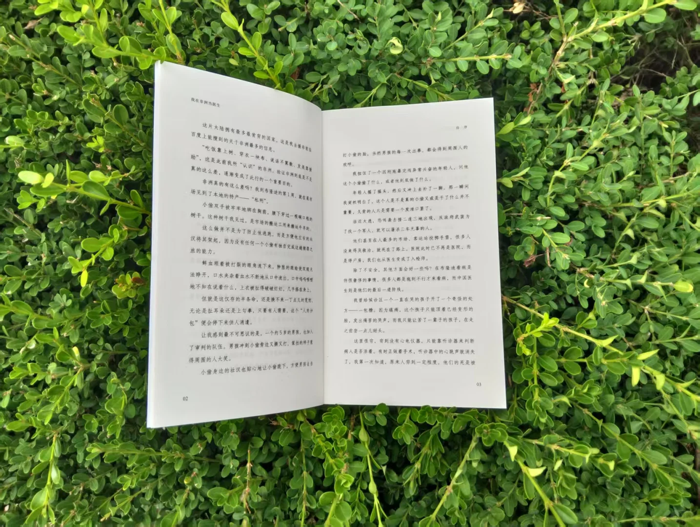 同一个星球,同一个心愿