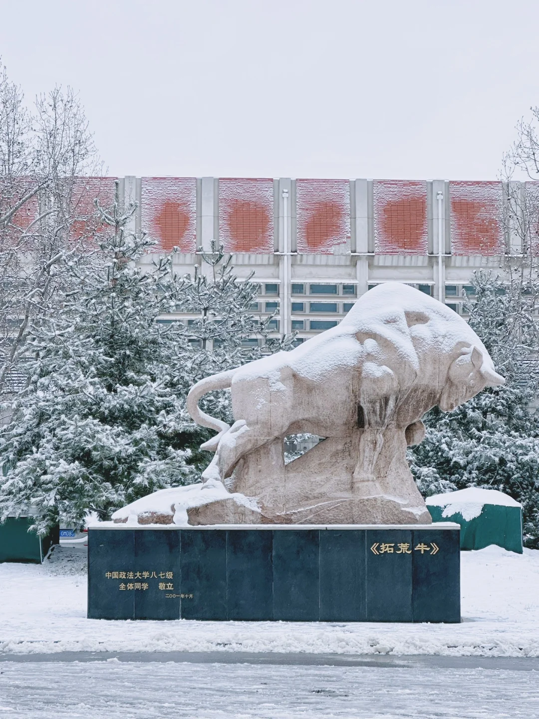 法大的第一场雪❄️