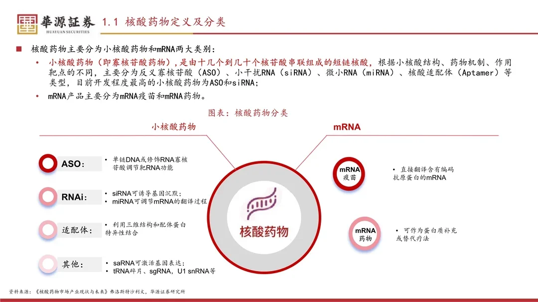 小核酸行业专题报告