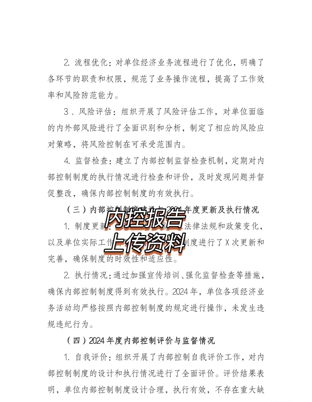 2024年度单位内部控制报告