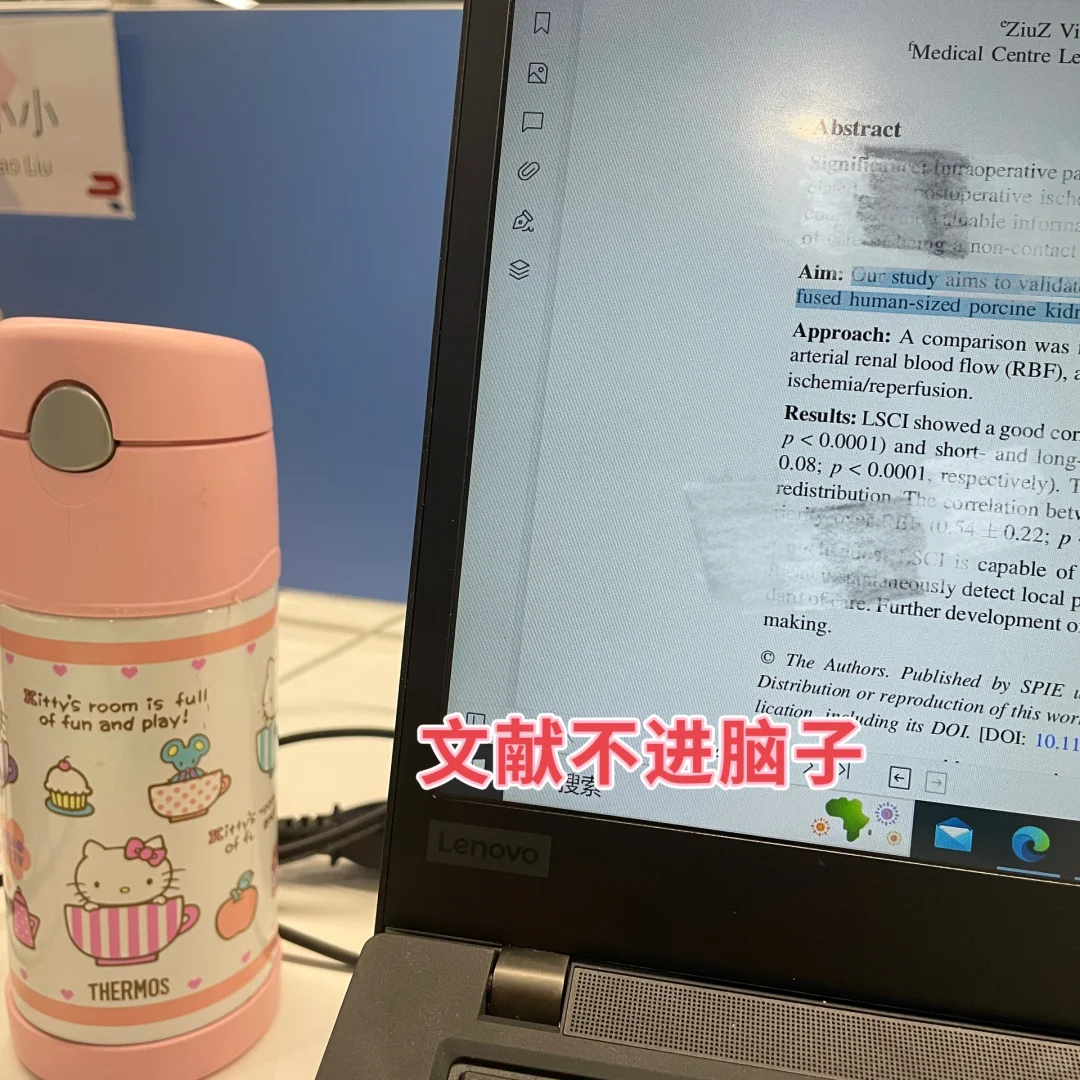 咨询实习～产品定价报告+市场调研