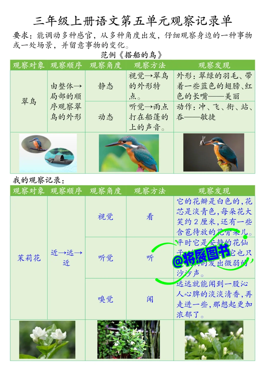 被问爆❗️三年级上册语文第五单元观察记录