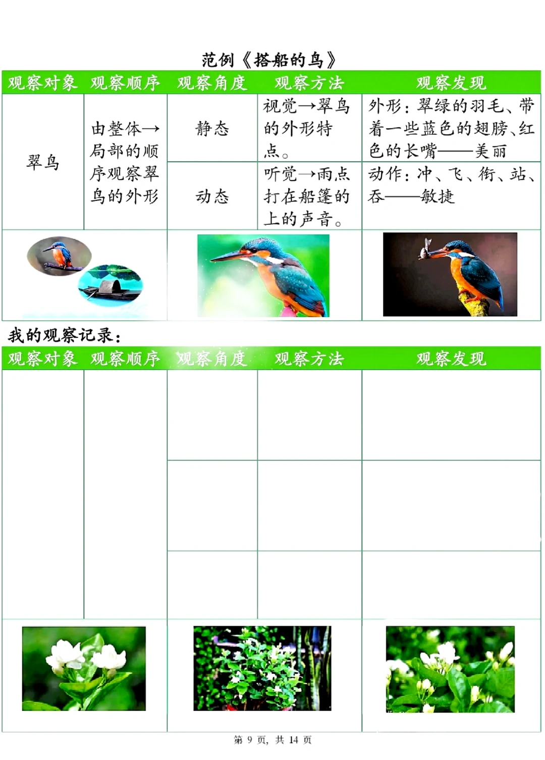 三年级语文上册第五单元观察记录单