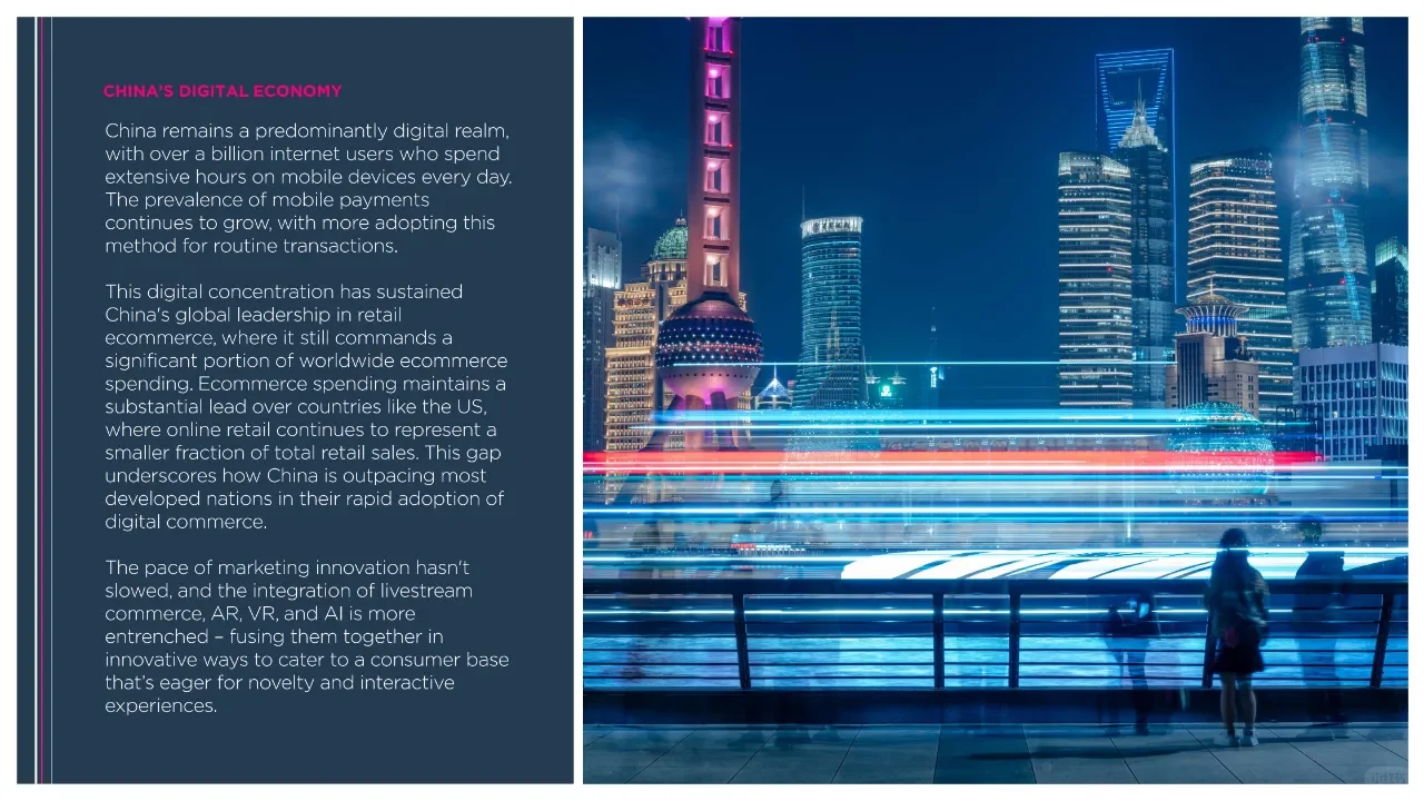 2024年中国消费市场全景报告