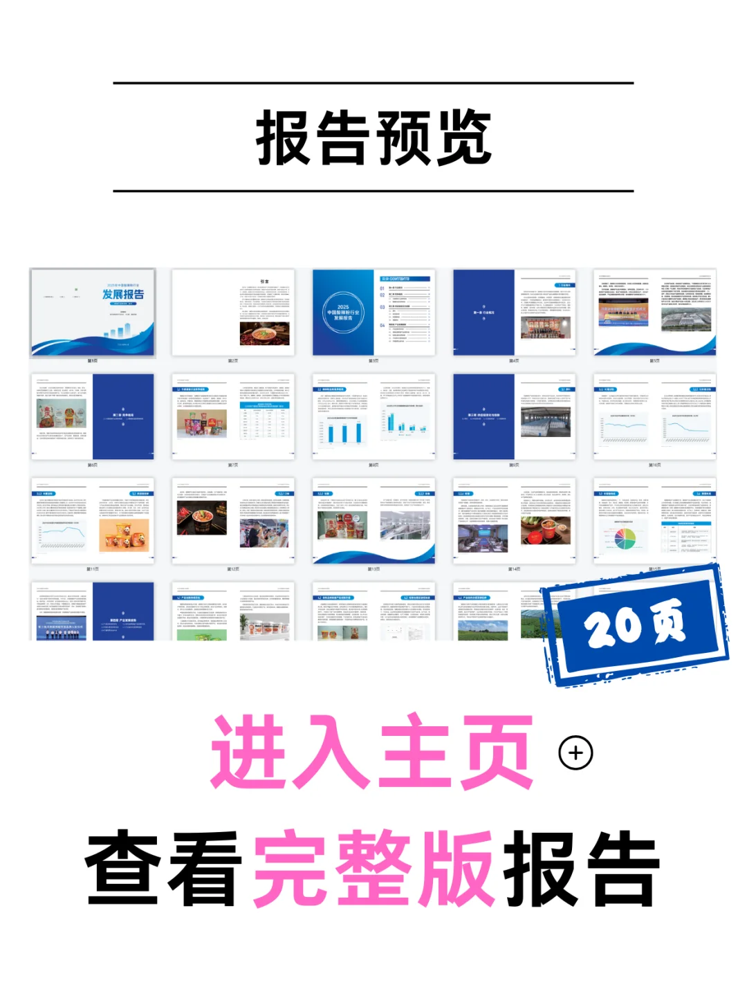 酸辣粉迎来品质升级!2025行业新趋势