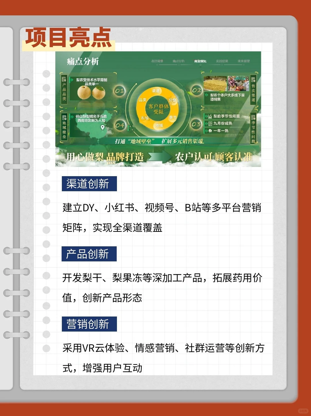 三创赛乡村振兴赛道国金作品解析