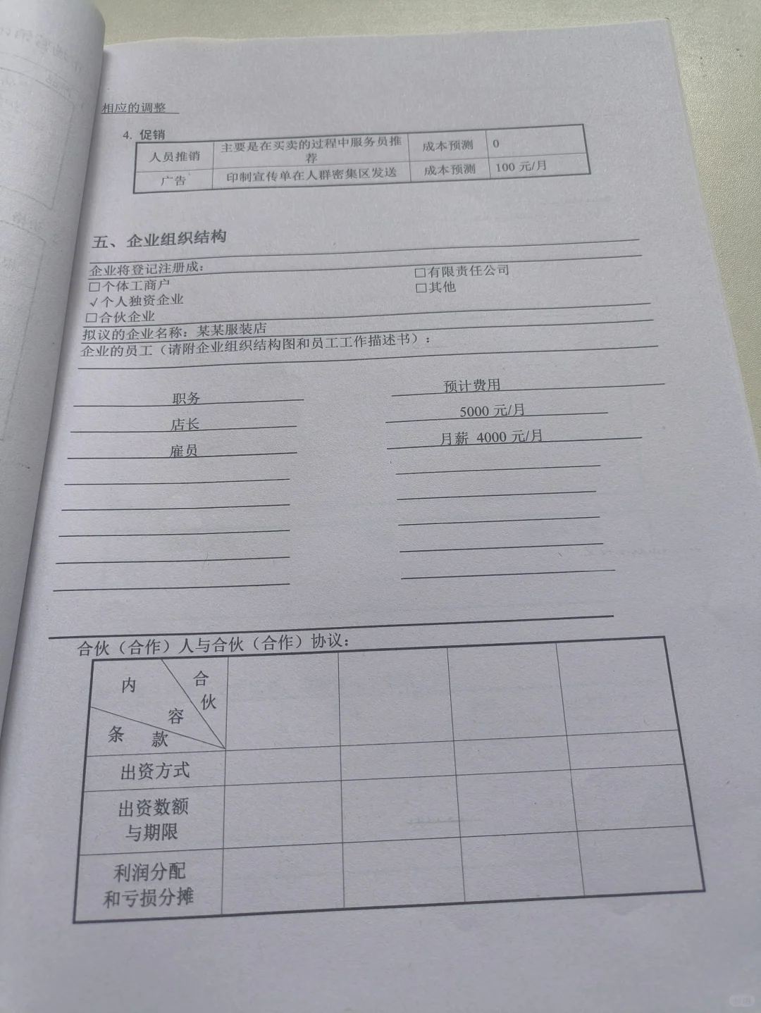 SYB化妆品店创业计划书