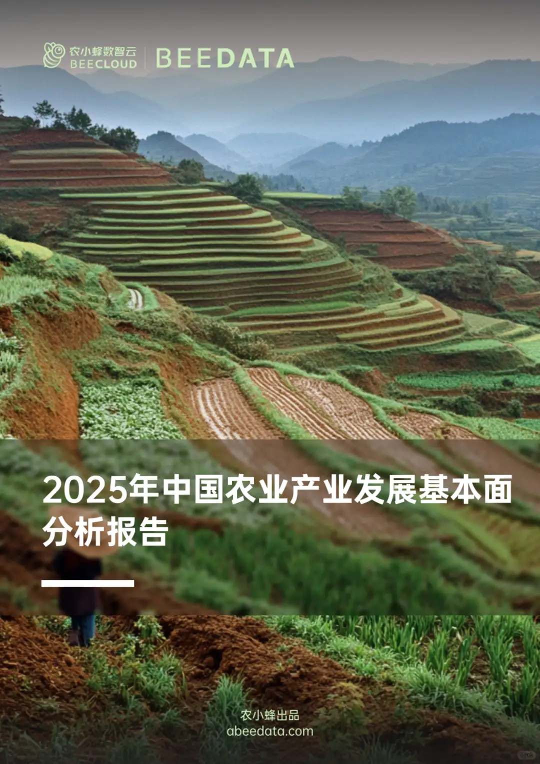 2025 年中国农业产业发展基本面分析报告
