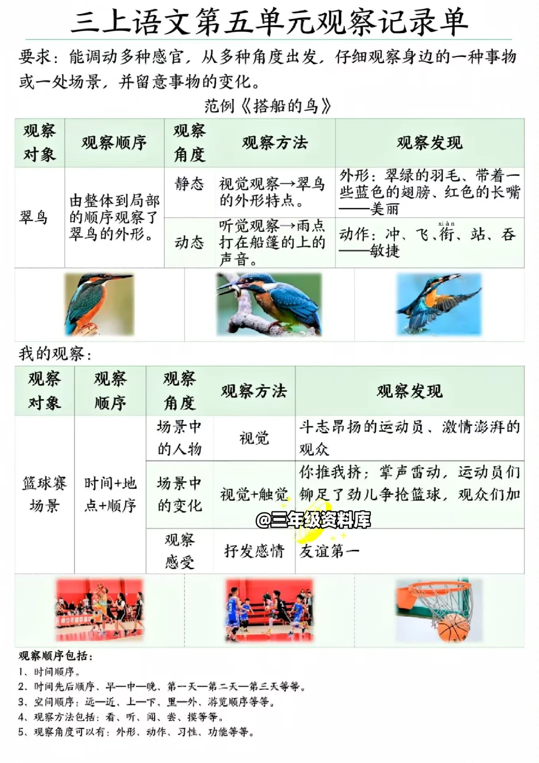 三年级语文上册?【观察记录单】