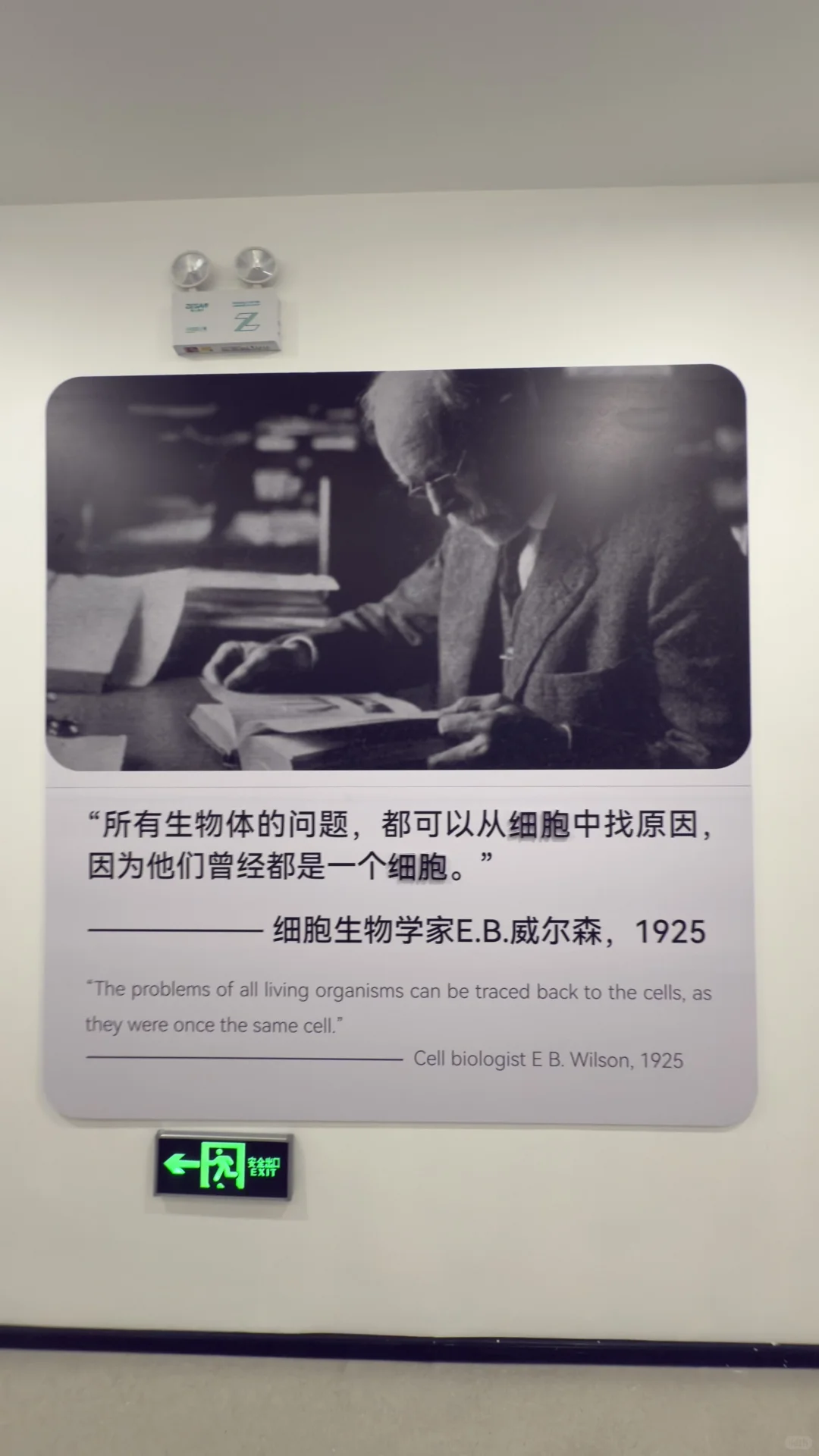 未来大健康行业
