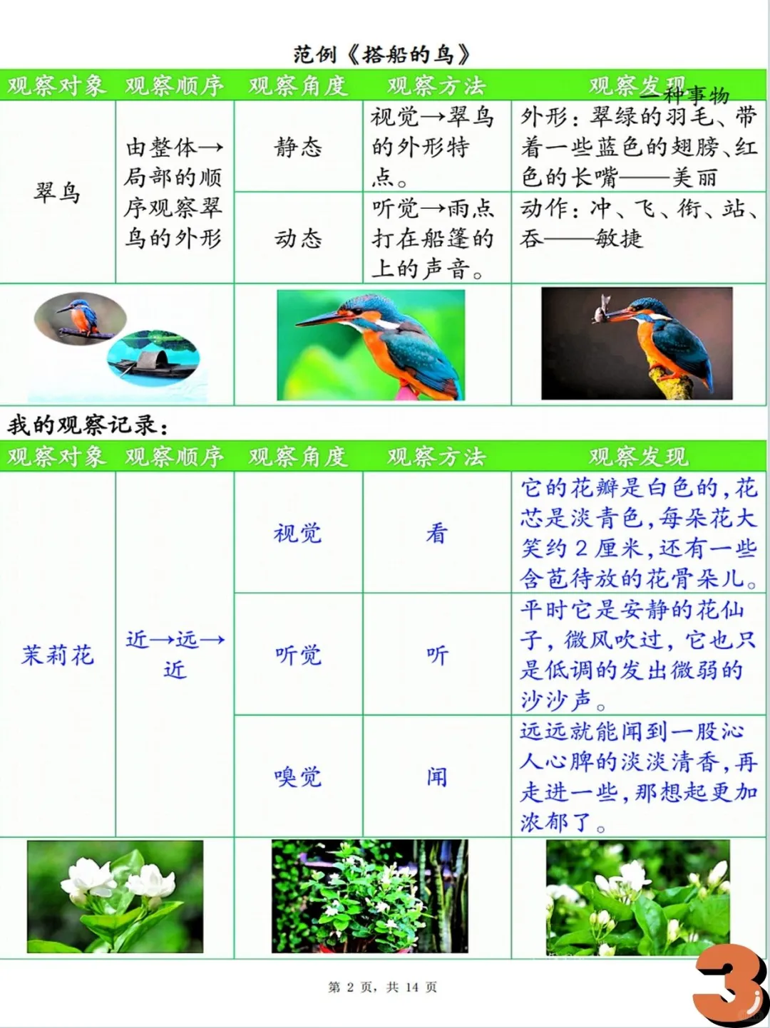 三上语文，观察记录单，看这里！