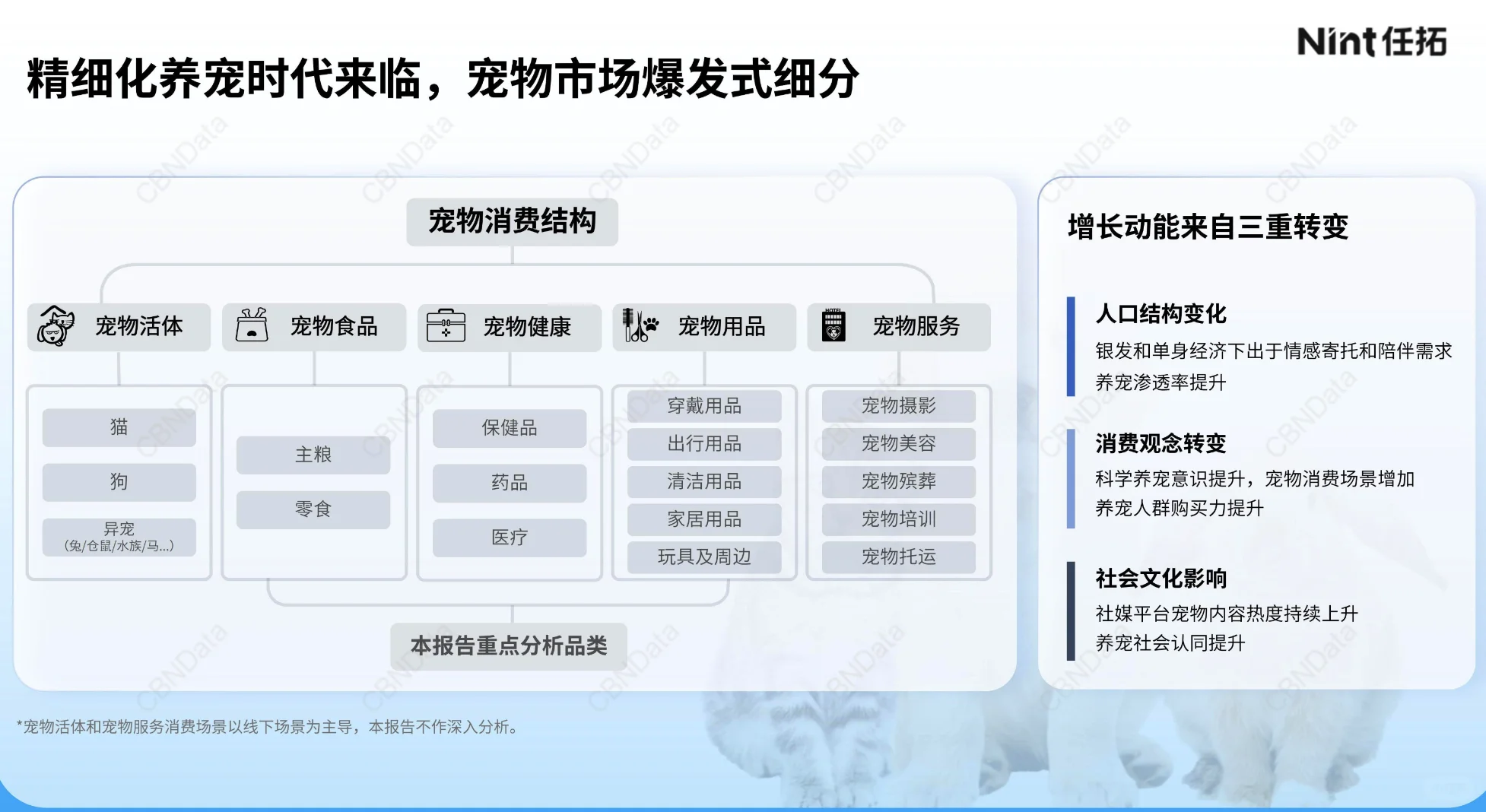 2025宠物电商行业报告-1