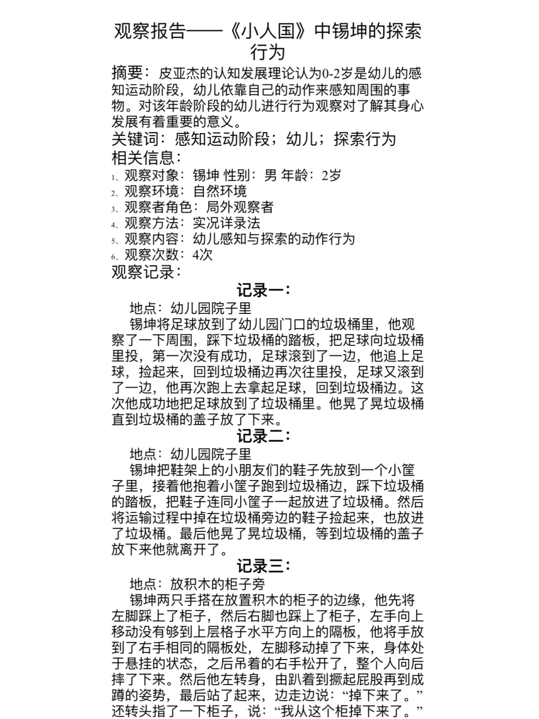 《小人国》儿童行为观察分析报告