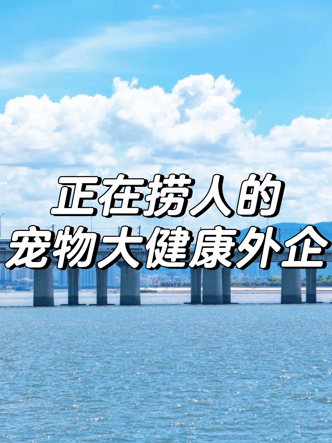 正在捞人的宠物大健康外企