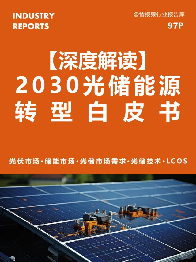 一篇白皮书读懂2030光储能源转型发展趋势