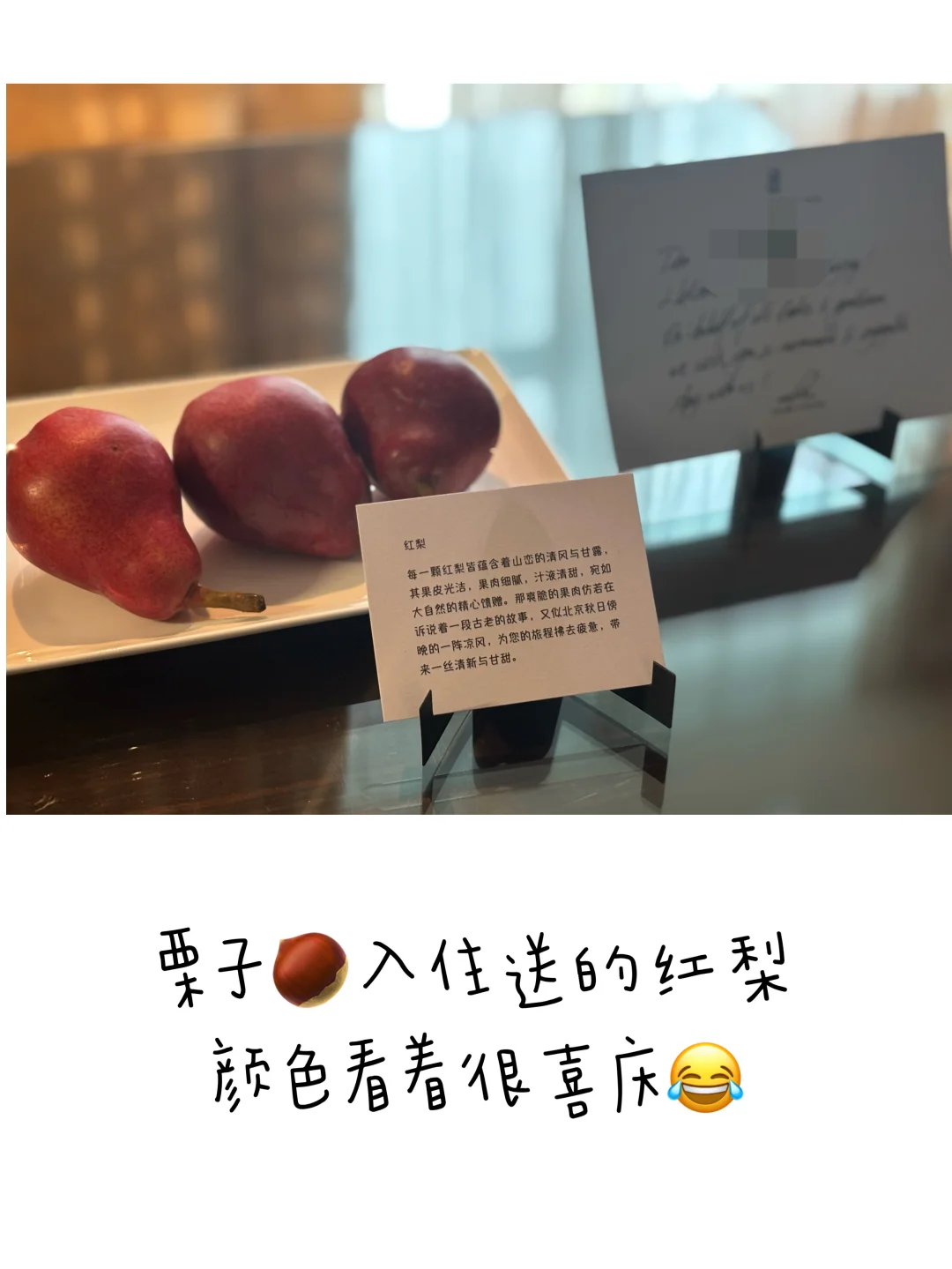 咨询人的真相:永远在狩猎、永远在求生