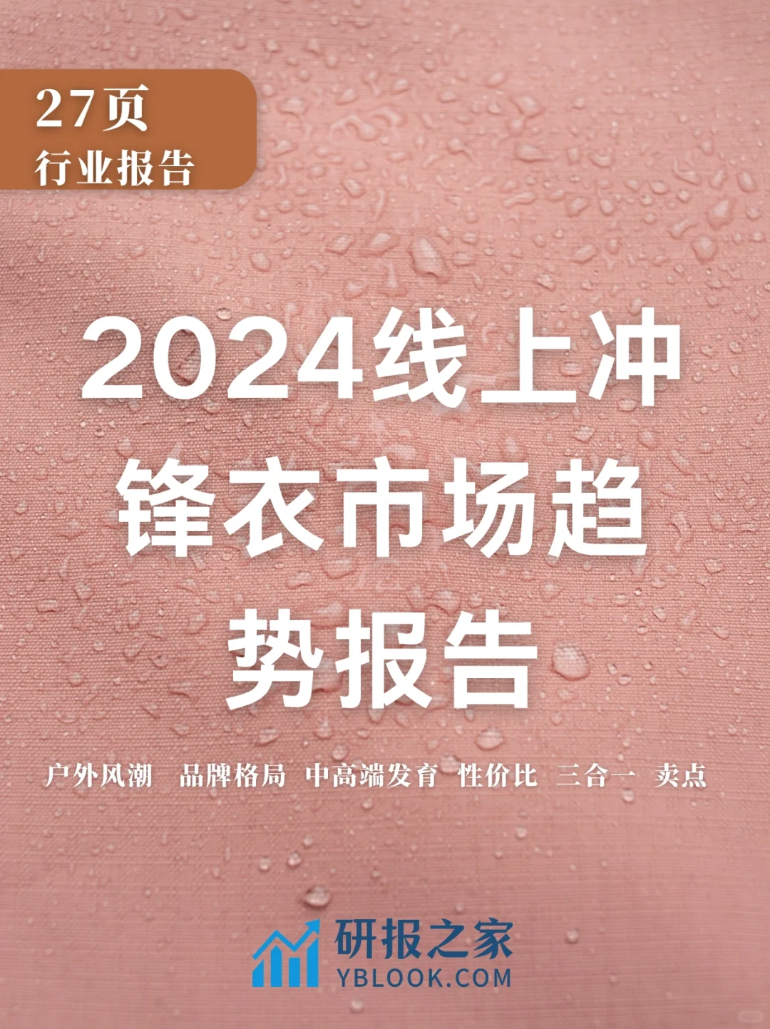 单篇研报分享|2024线上冲锋衣市场趋势报告