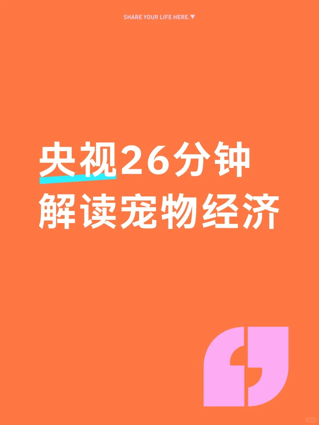 央视26分钟解读宠物经济