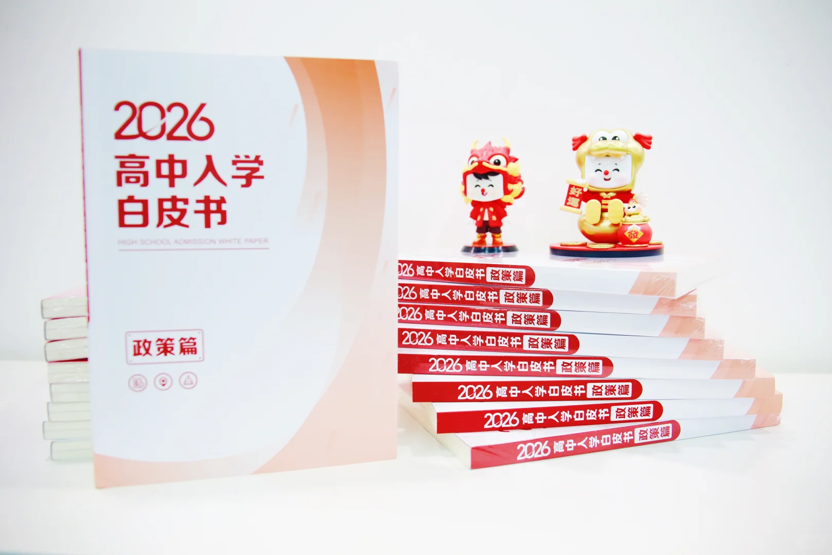 政策白皮书