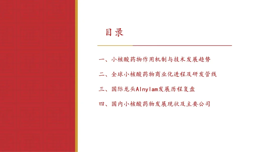 小核酸行业专题报告