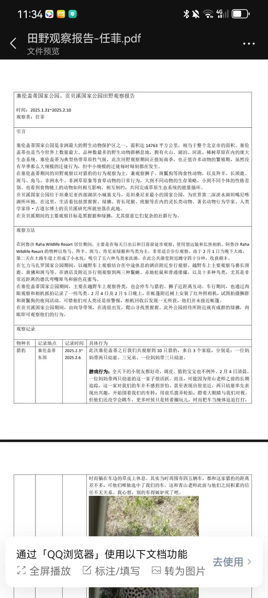 研学报告