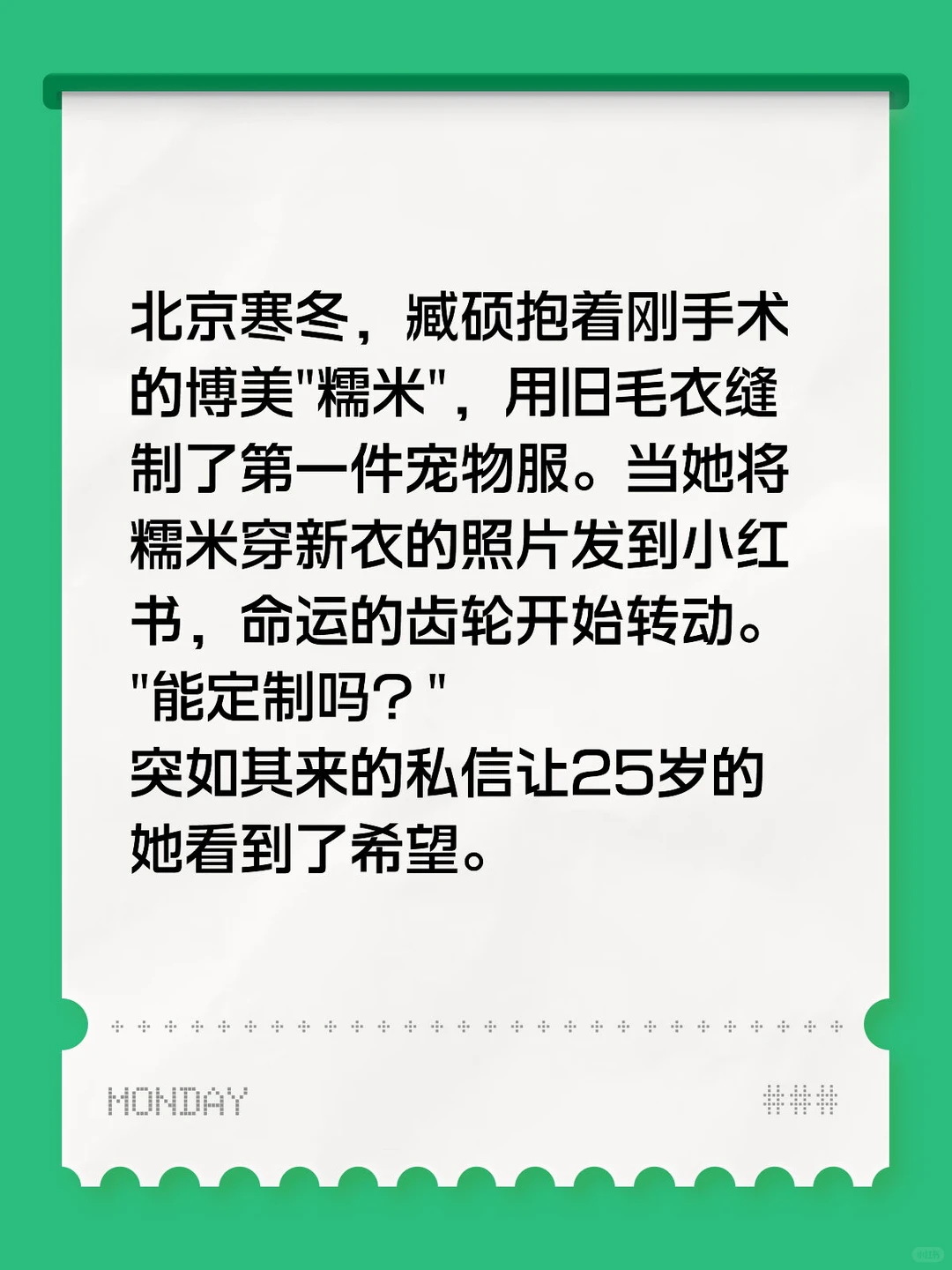 创业之《一针一线缝出来的宠物赛道致富路》