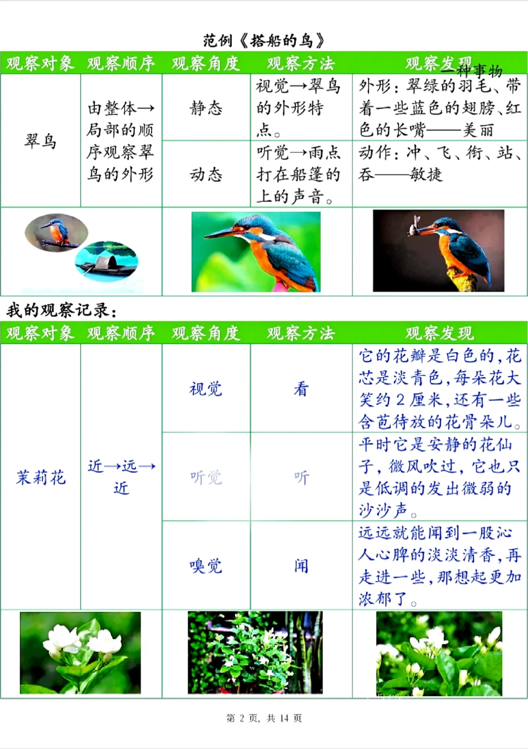 三年级语文上册第五单元观察记录单