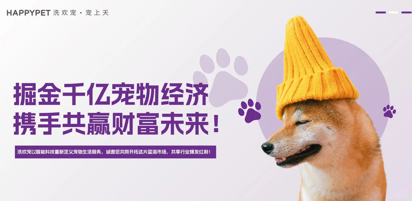 洗欢宠:宠主消费力与消费倾向