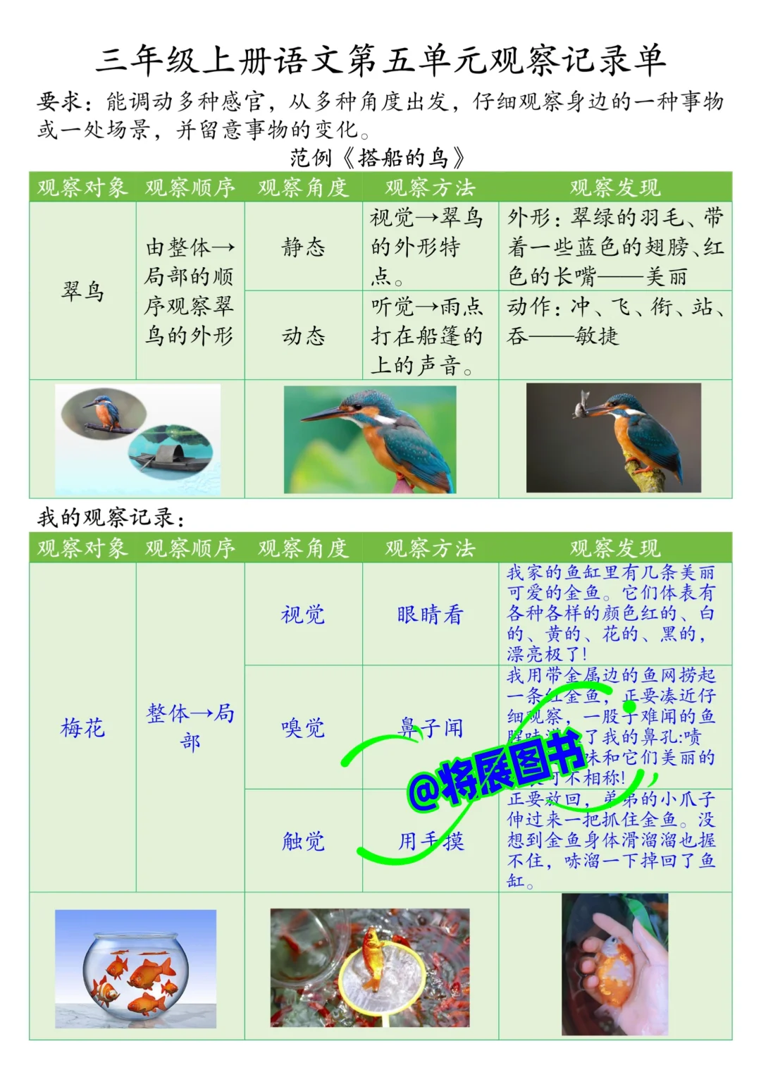被问爆❗️三年级上册语文第五单元观察记录