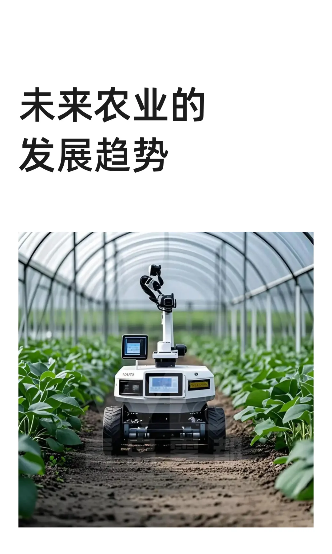 未来农业的发展趋势
