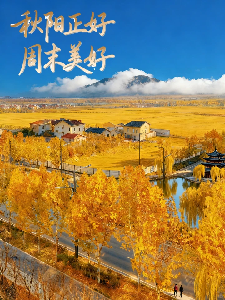 2025零食趋势大公开,赛道深度解读?