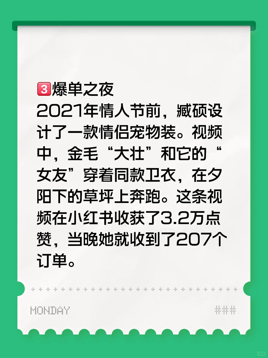 创业之《一针一线缝出来的宠物赛道致富路》