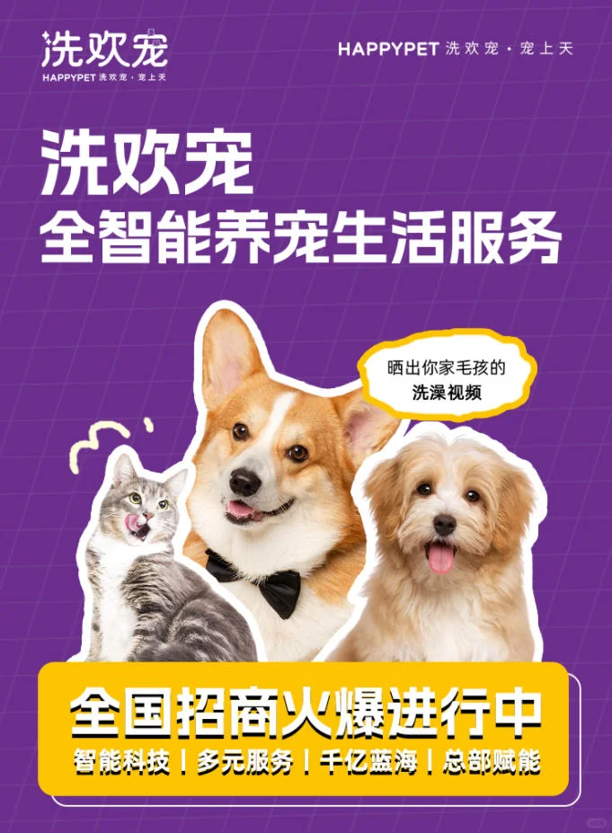 洗欢宠:宠主消费力与消费倾向