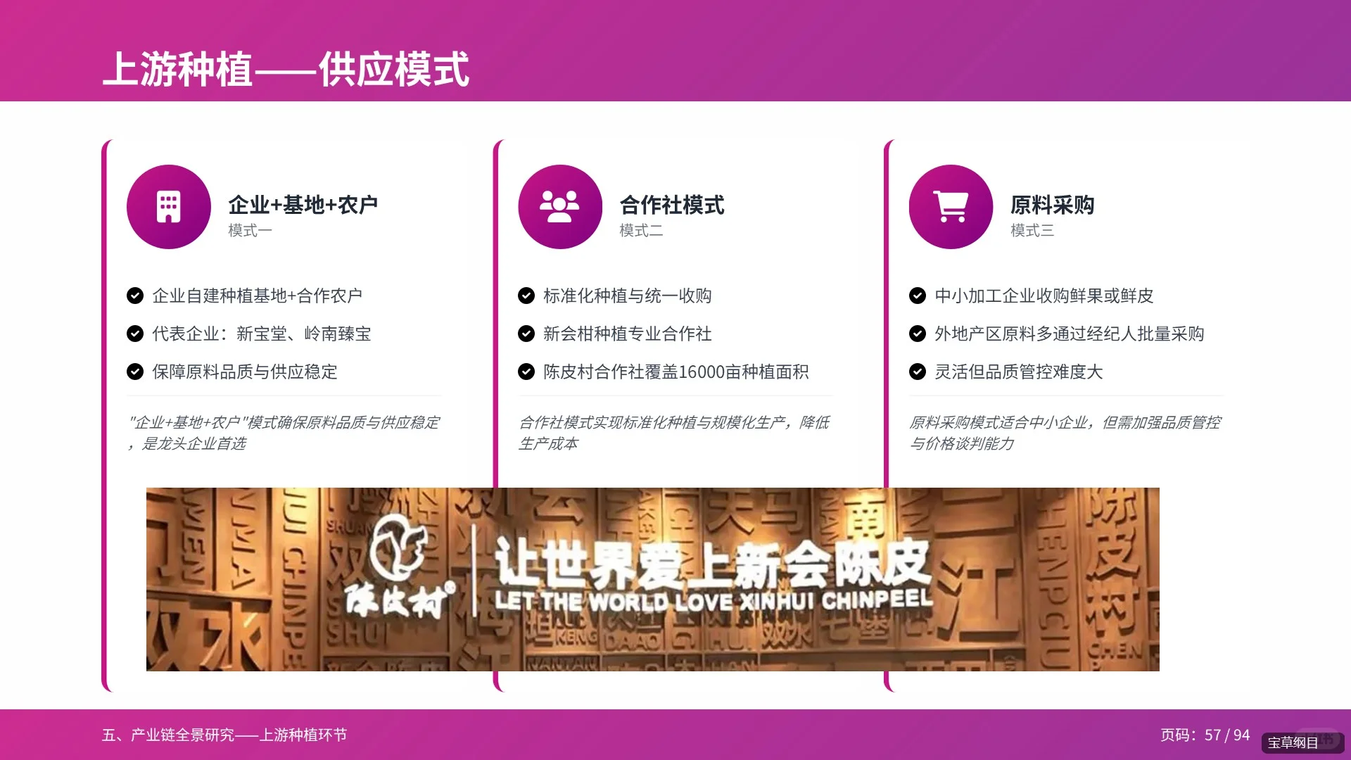 94页PPT全面解读2025年陈皮行业分析报告
