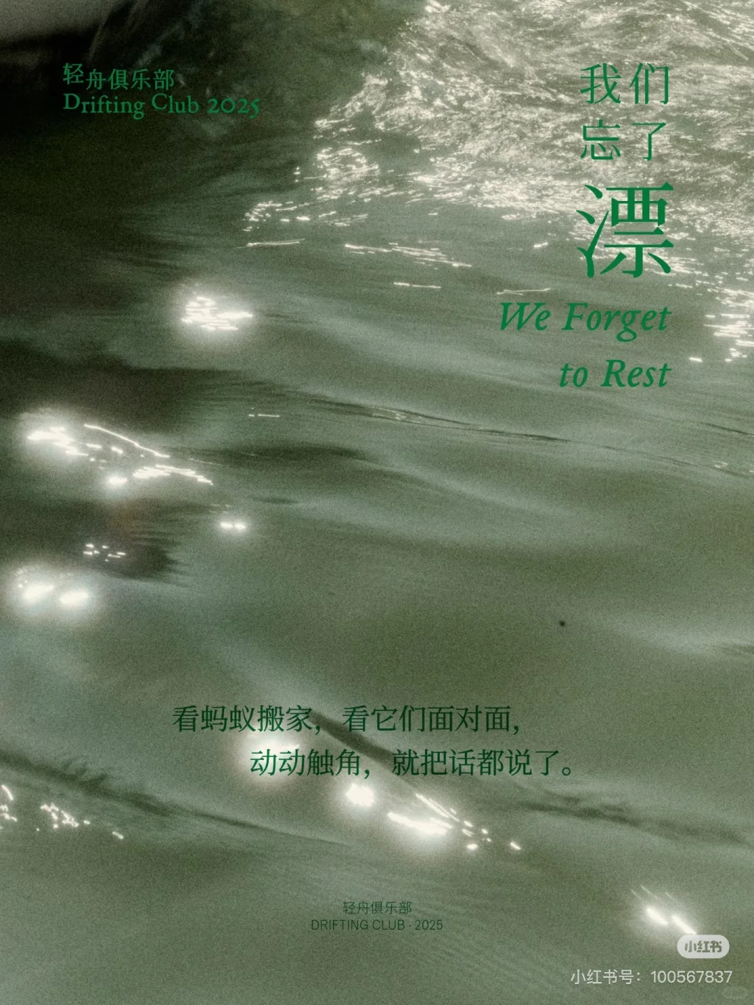 观夏,又再次完美拿捏了中式情绪