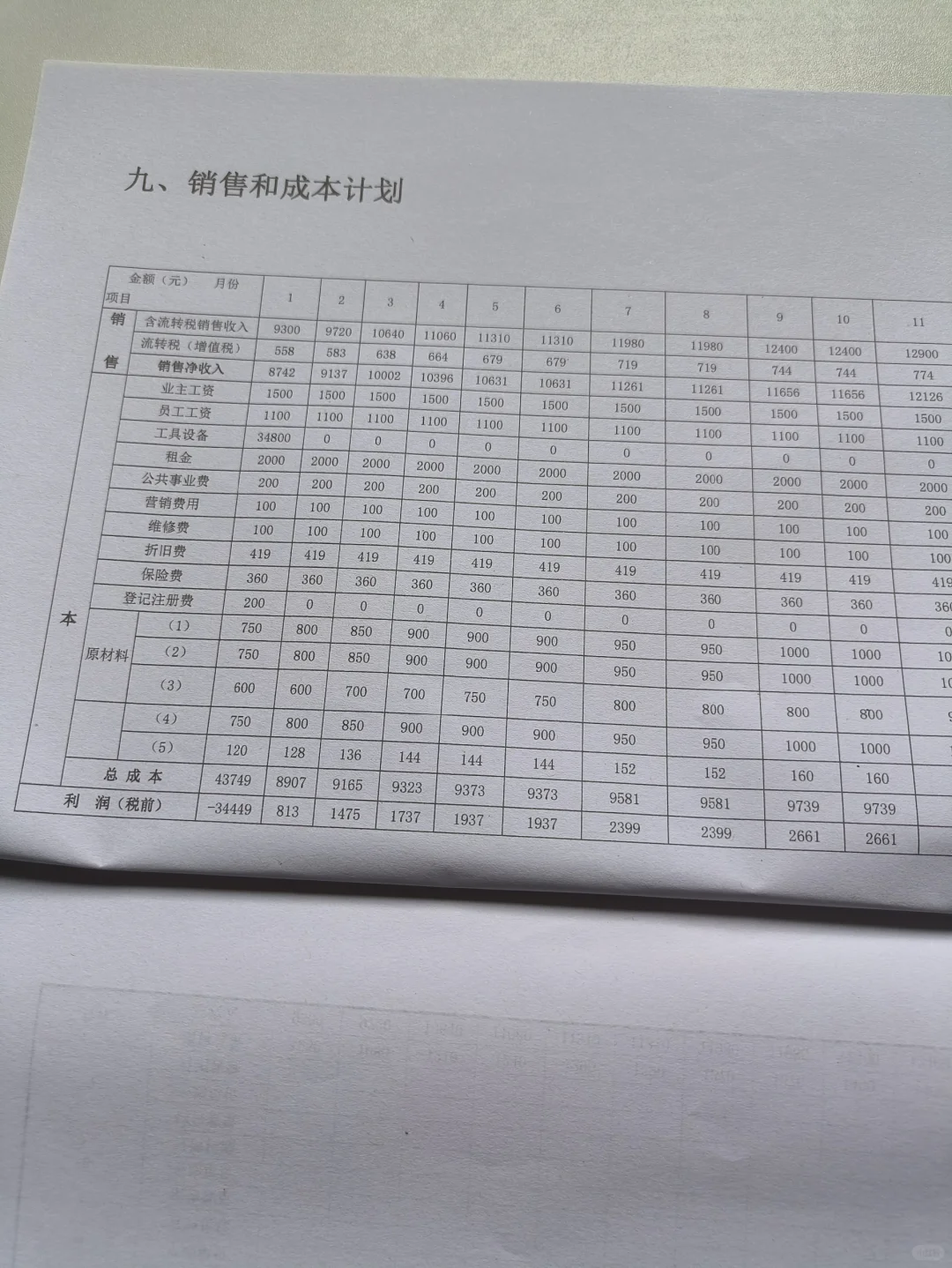 SYB化妆品店创业计划书