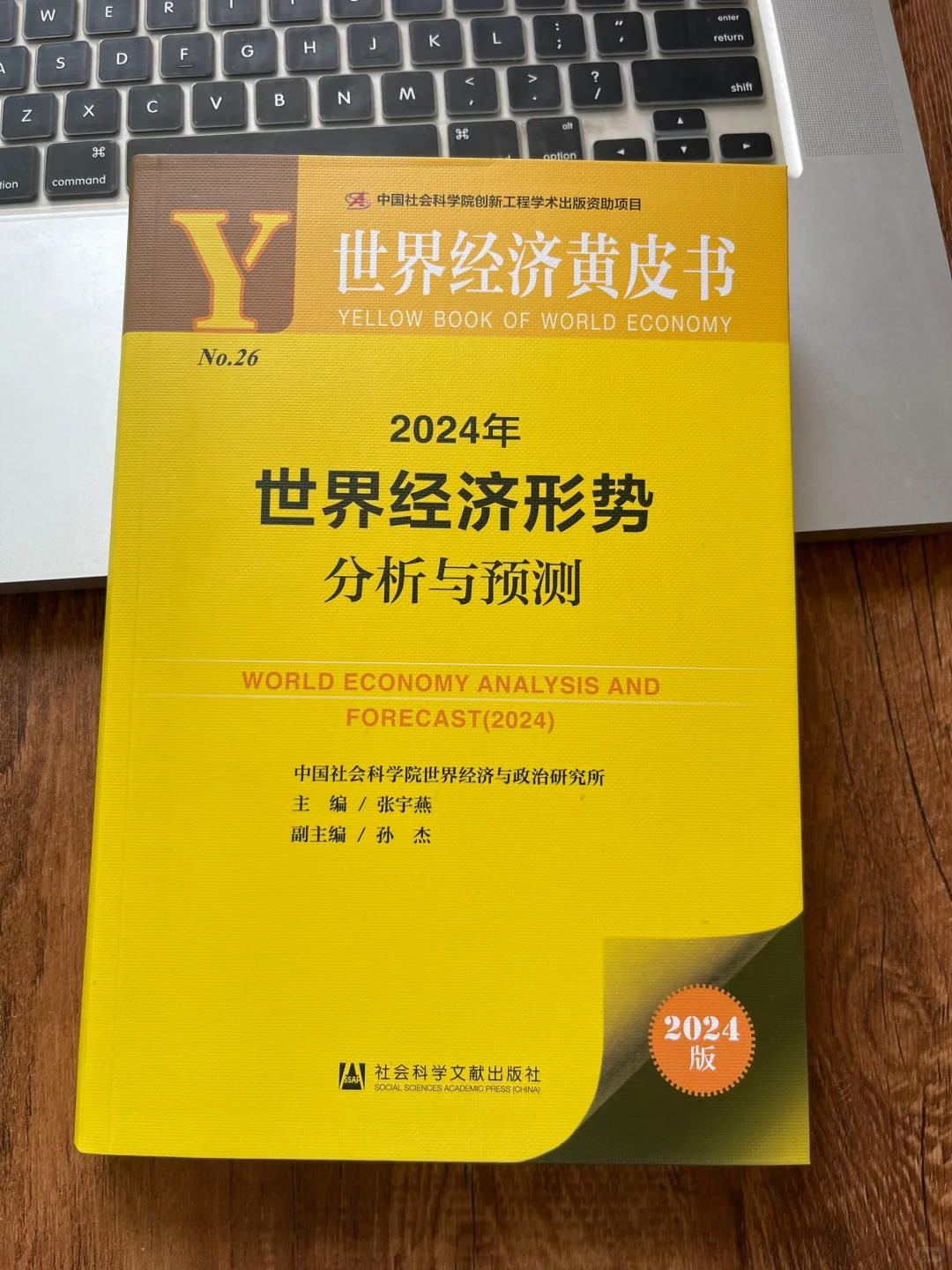 值得推荐的一本书，经济黄皮书！