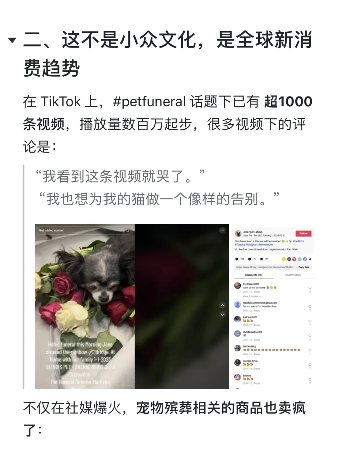 海外宠物墓碑卖疯了,深度拆解宠物殡葬赛道