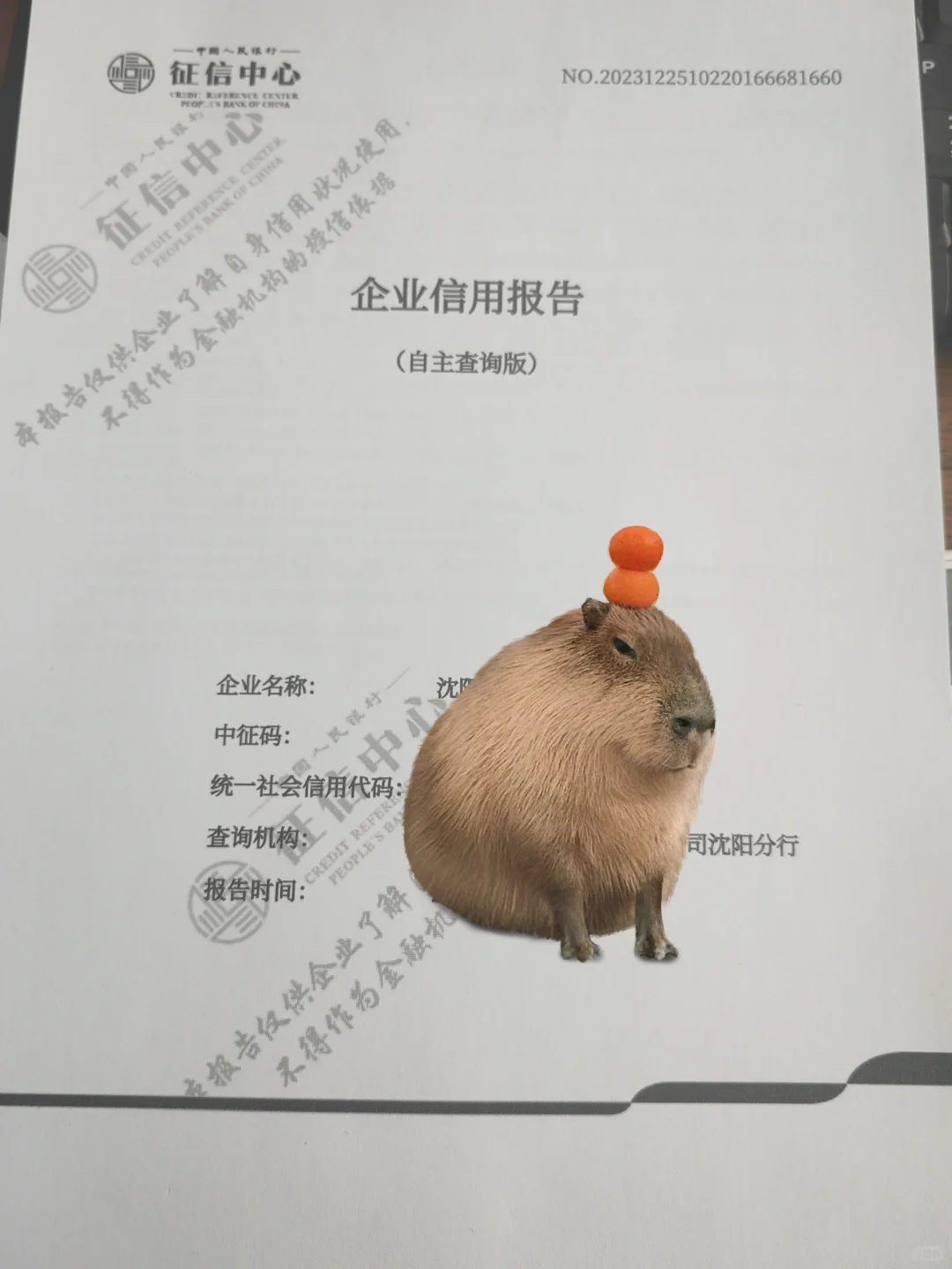 企业征信报告