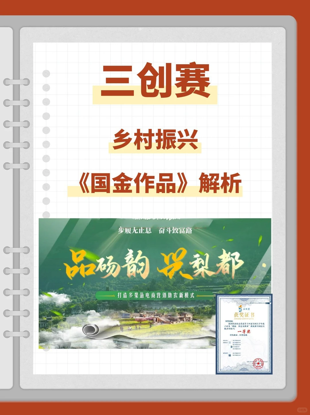 三创赛乡村振兴赛道国金作品解析