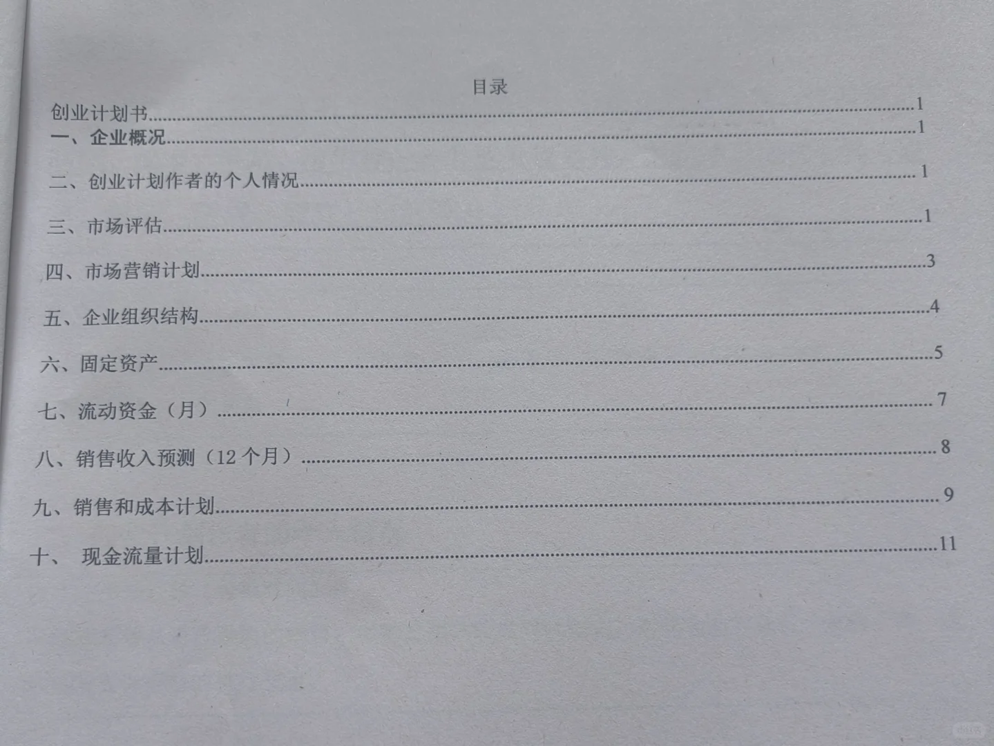 SYB化妆品店创业计划书