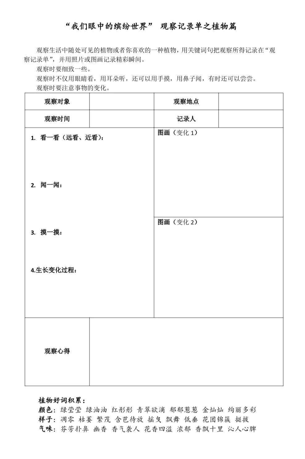 三上第五单元观察记录单