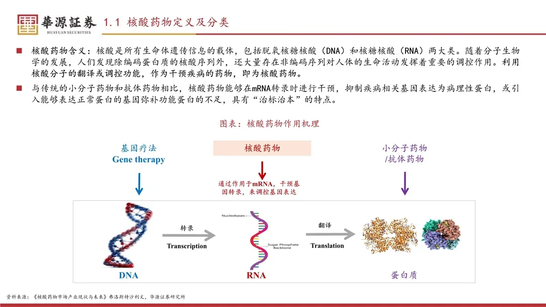 小核酸行业专题报告
