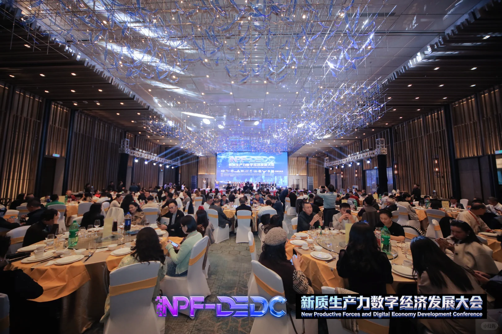 数字经济新风口