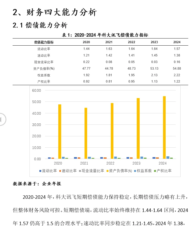 2020-2024科大讯飞财务分析报告word19页118