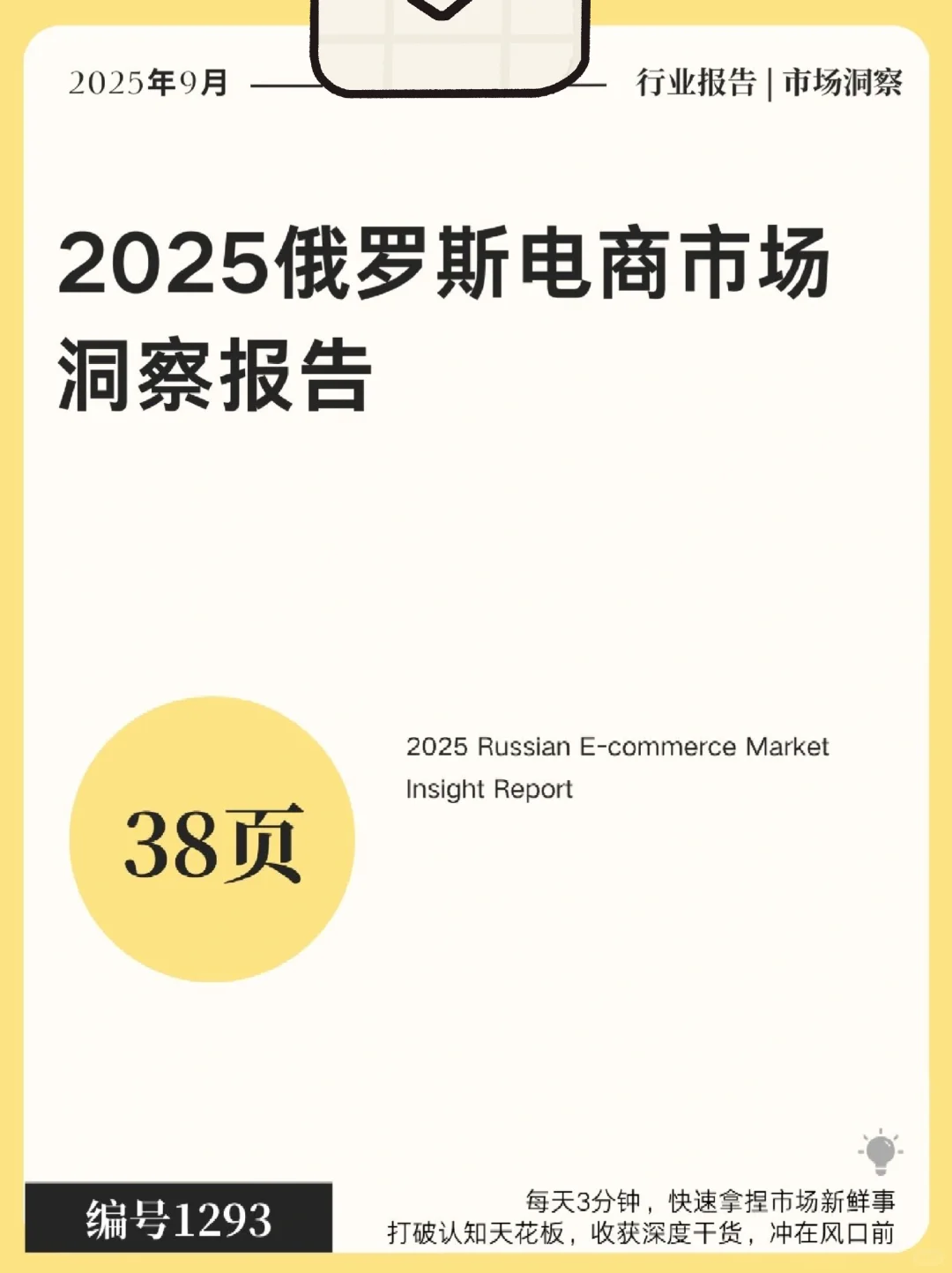 38页|2025俄罗斯电商市场洞察报告