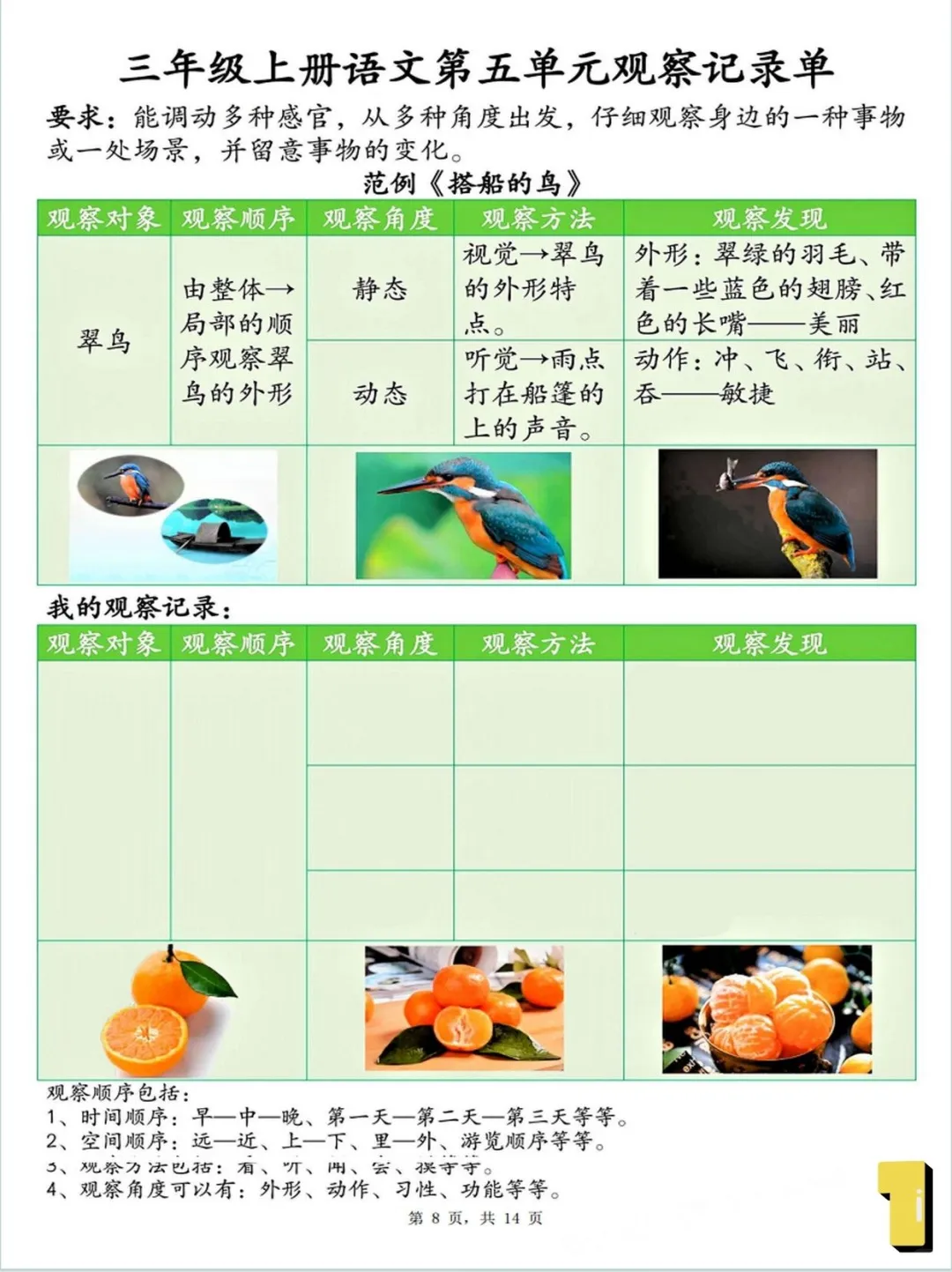 三上语文，观察记录单，看这里！