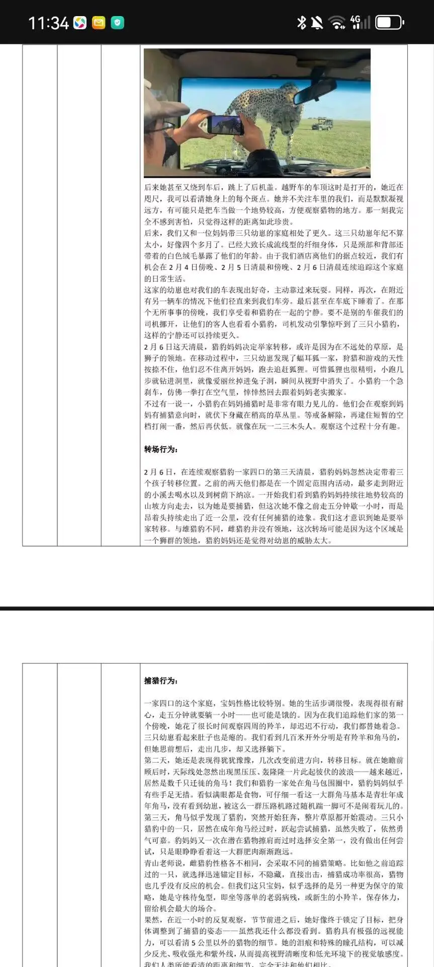研学报告