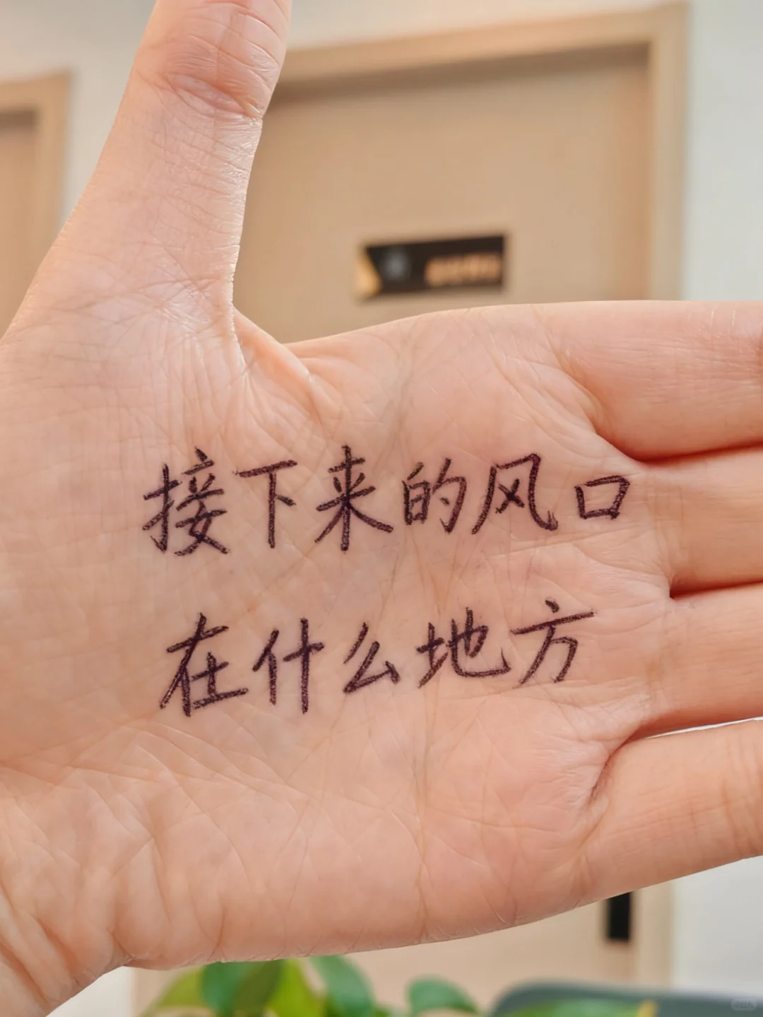 接下来的风口在哪儿