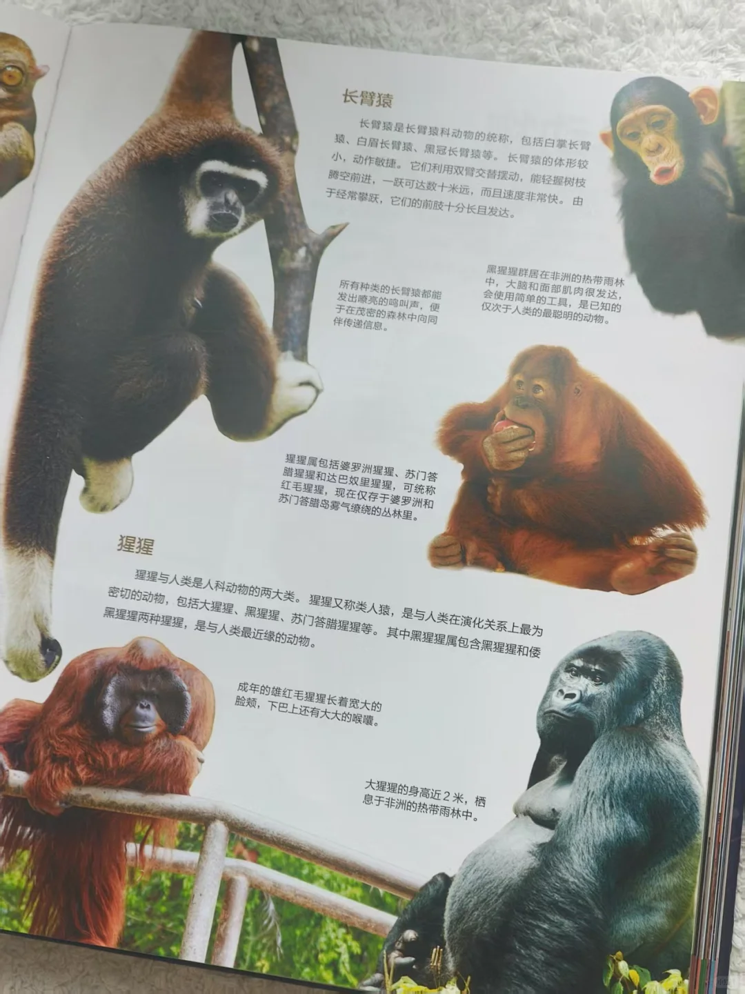 11月新书开箱|双十一最惊喜的“大书”?